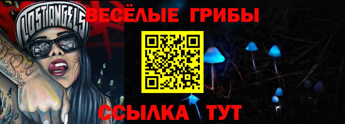 Осинники  Псилоцибиновые грибы ЛСД  Псилоцибиновые грибы MAGIC MUSHROOMS  Вход с VPN 